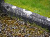 image of grave number 828330